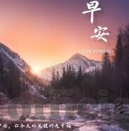 大赢家足球即时比分比-大赢家足球即时比分，一场数据与激情的双重盛宴